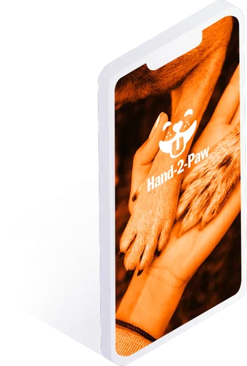 Hands2Paws dog breed matching app opening screen